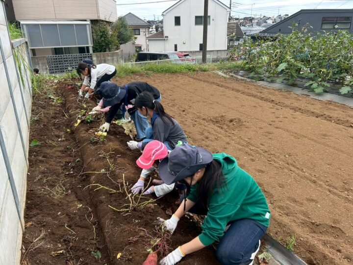2025年度 芋掘り