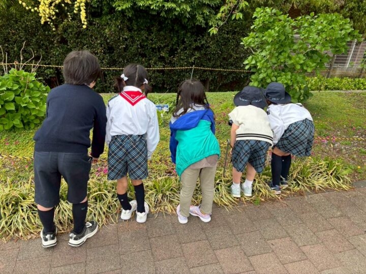 2025年度 部門別活動